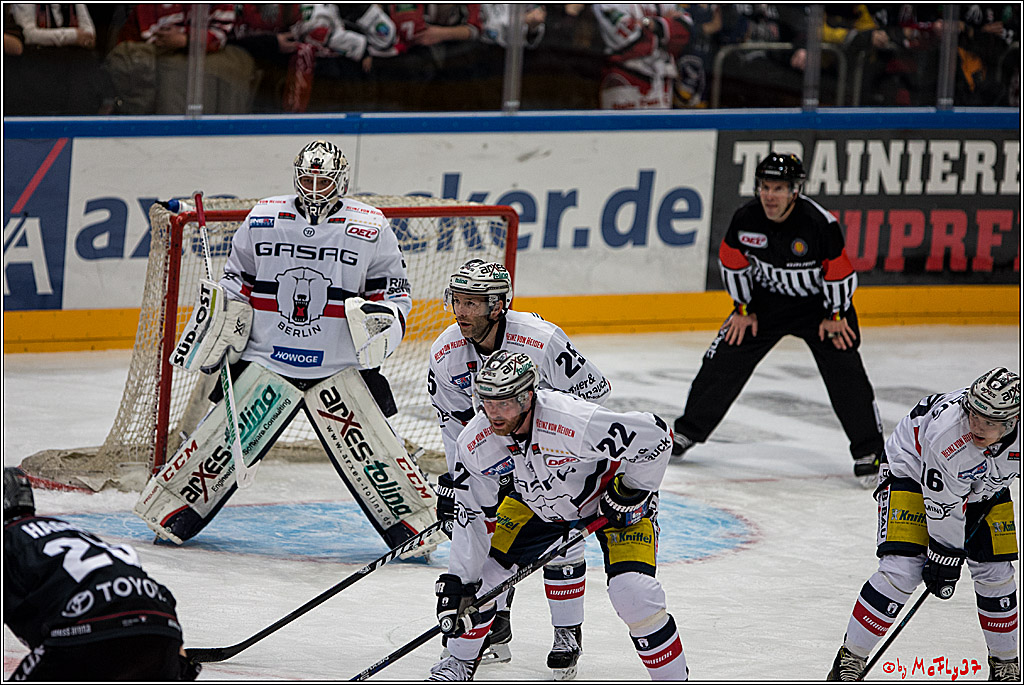 Koelner Haie - Eisbaeren Berlin, 13.11.2016